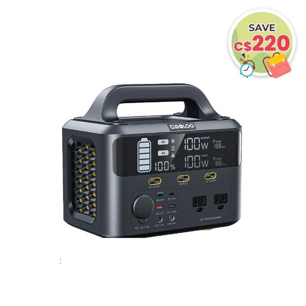 【Clearance Sale】GOOLOO GTX300 Power Station